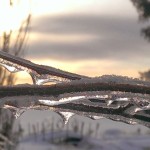 cropped-imag0844-jpg-2